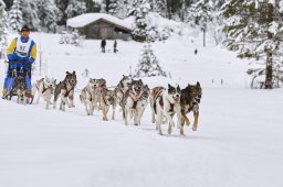 Kandersteg 2014 WM