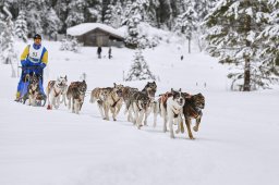 Kandersteg 2014 WM