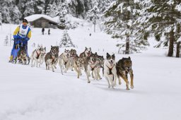 Kandersteg 2014 WM