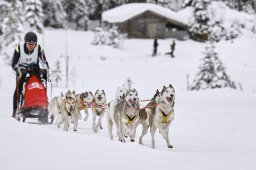 Kandersteg 2014 WM