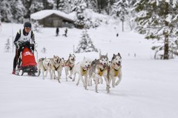 Kandersteg 2014 WM