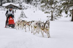Kandersteg 2014 WM