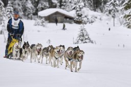 Kandersteg 2014 WM