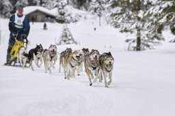 Kandersteg 2014 WM