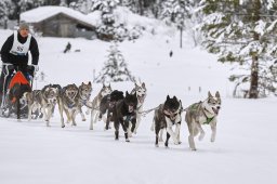 Kandersteg 2014 WM