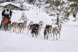 Kandersteg 2014 WM
