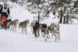 Kandersteg 2014 WM