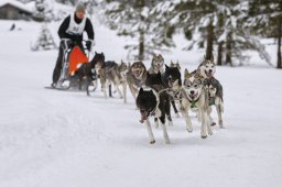 Kandersteg 2014 WM
