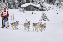 Kandersteg 2014 WM