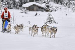 Kandersteg 2014 WM