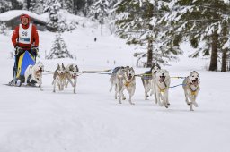 Kandersteg 2014 WM