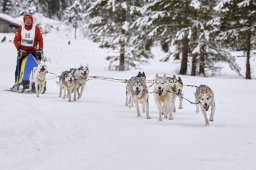 Kandersteg 2014 WM