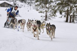 Kandersteg 2014 WM