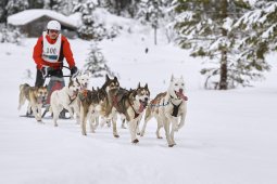 Kandersteg 2014 WM
