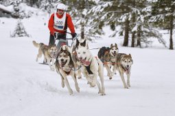 Kandersteg 2014 WM