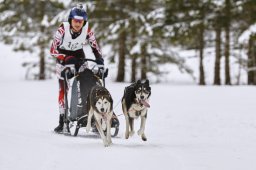 Kandersteg 2014 WM