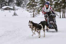 Kandersteg 2014 WM