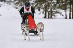 Kandersteg 2014 WM