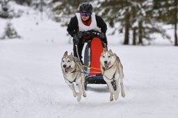 Kandersteg 2014 WM