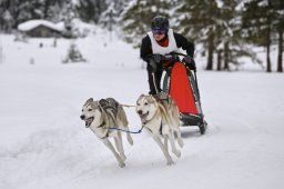Kandersteg 2014 WM