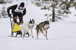Kandersteg 2014 WM