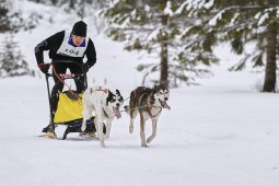 Kandersteg 2014 WM