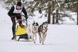 Kandersteg 2014 WM