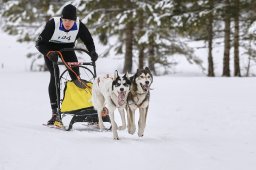 Kandersteg 2014 WM