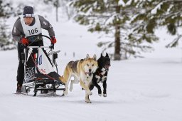 Kandersteg 2014 WM