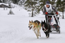 Kandersteg 2014 WM