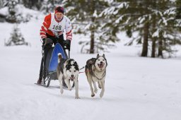 Kandersteg 2014 WM