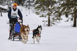 Kandersteg 2014 WM