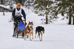 Kandersteg 2014 WM