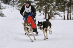 Kandersteg 2014 WM
