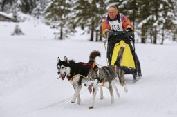 Kandersteg 2014 WM