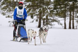 Kandersteg 2014 WM