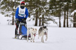Kandersteg 2014 WM