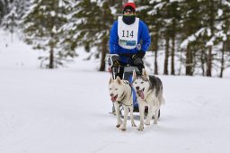 Kandersteg 2014 WM