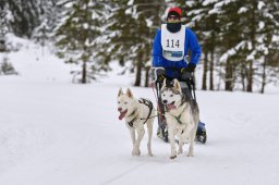 Kandersteg 2014 WM