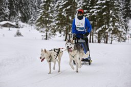 Kandersteg 2014 WM