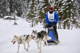 Kandersteg 2014 WM