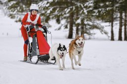 Kandersteg 2014 WM