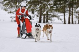 Kandersteg 2014 WM