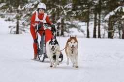 Kandersteg 2014 WM