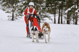 Kandersteg 2014 WM