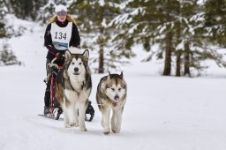 Kandersteg 2014 WM