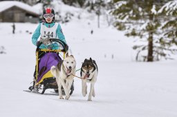 Kandersteg 2014 WM