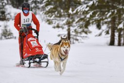 Kandersteg 2014 WM
