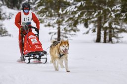 Kandersteg 2014 WM