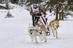 Kandersteg 2014 WM